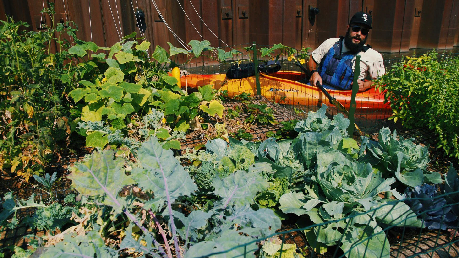 Floating Farms Biomatrix