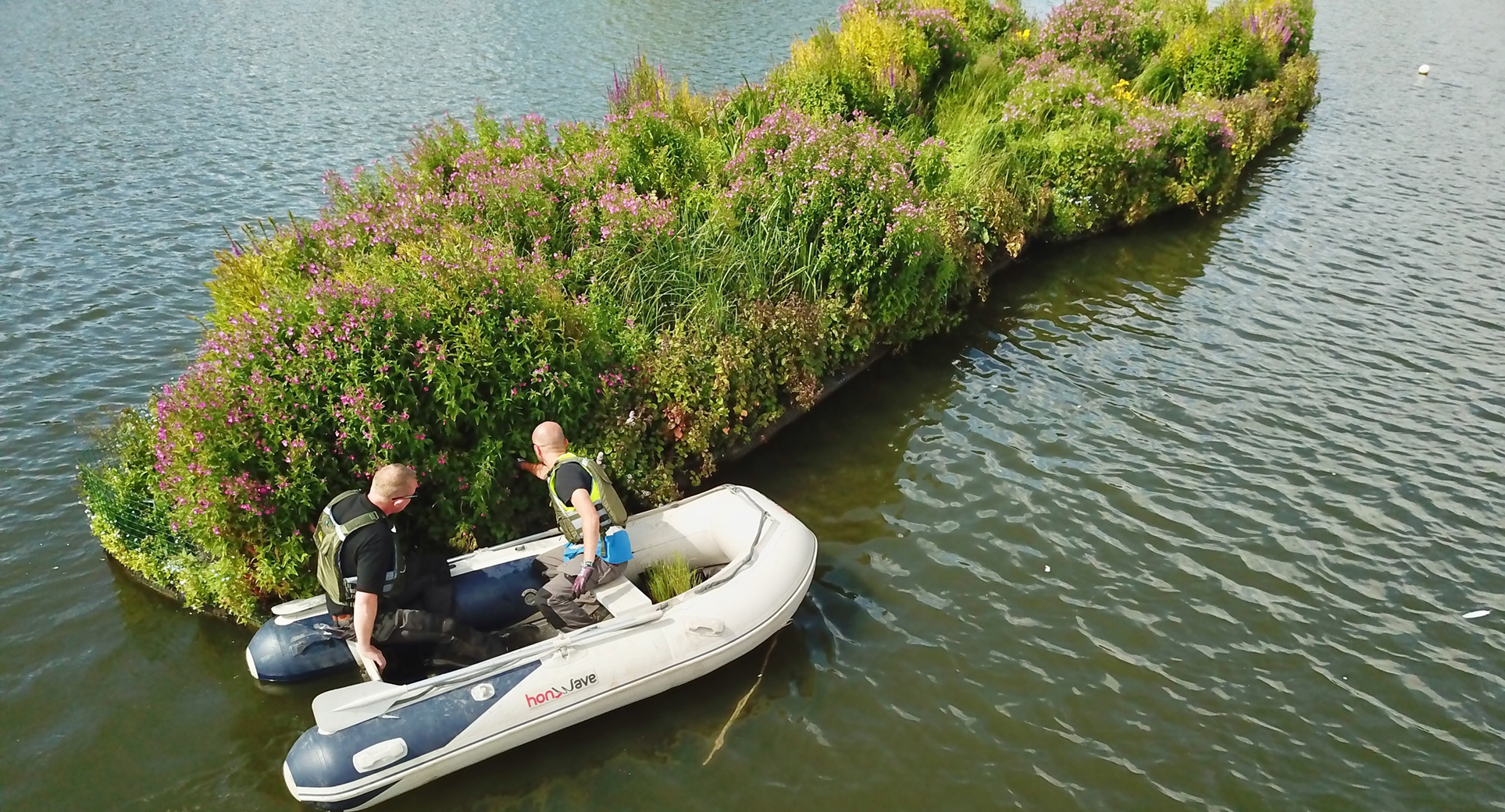 Last Spring's Floating Islands Thrive in Killingworth Lake Biomatrix