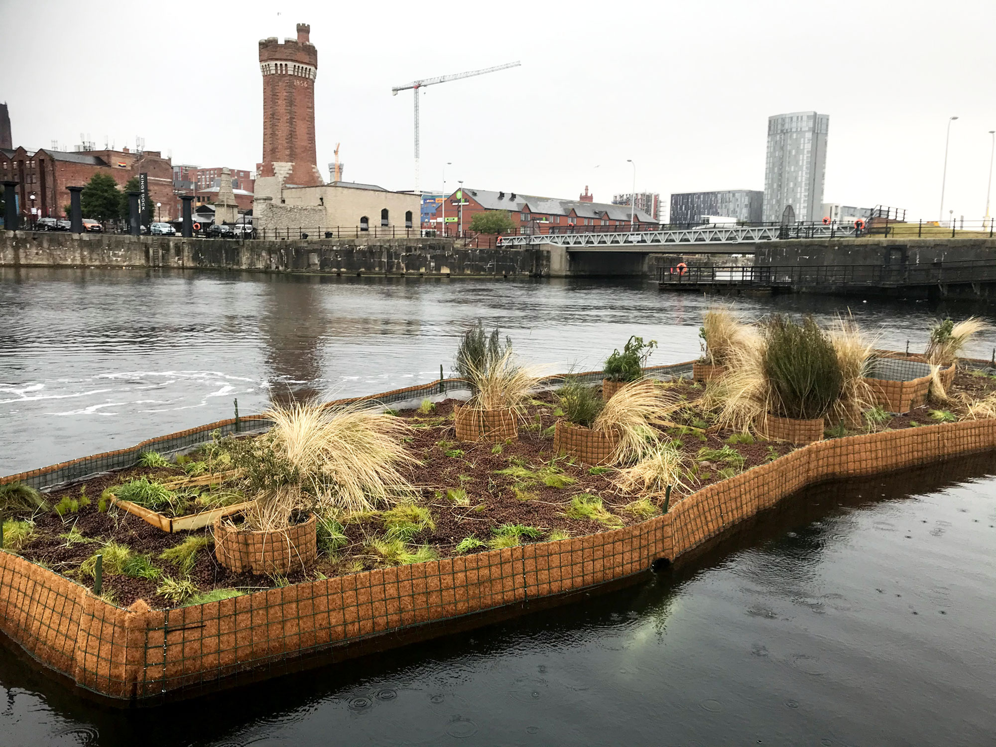 bio ionic 10x liverpool