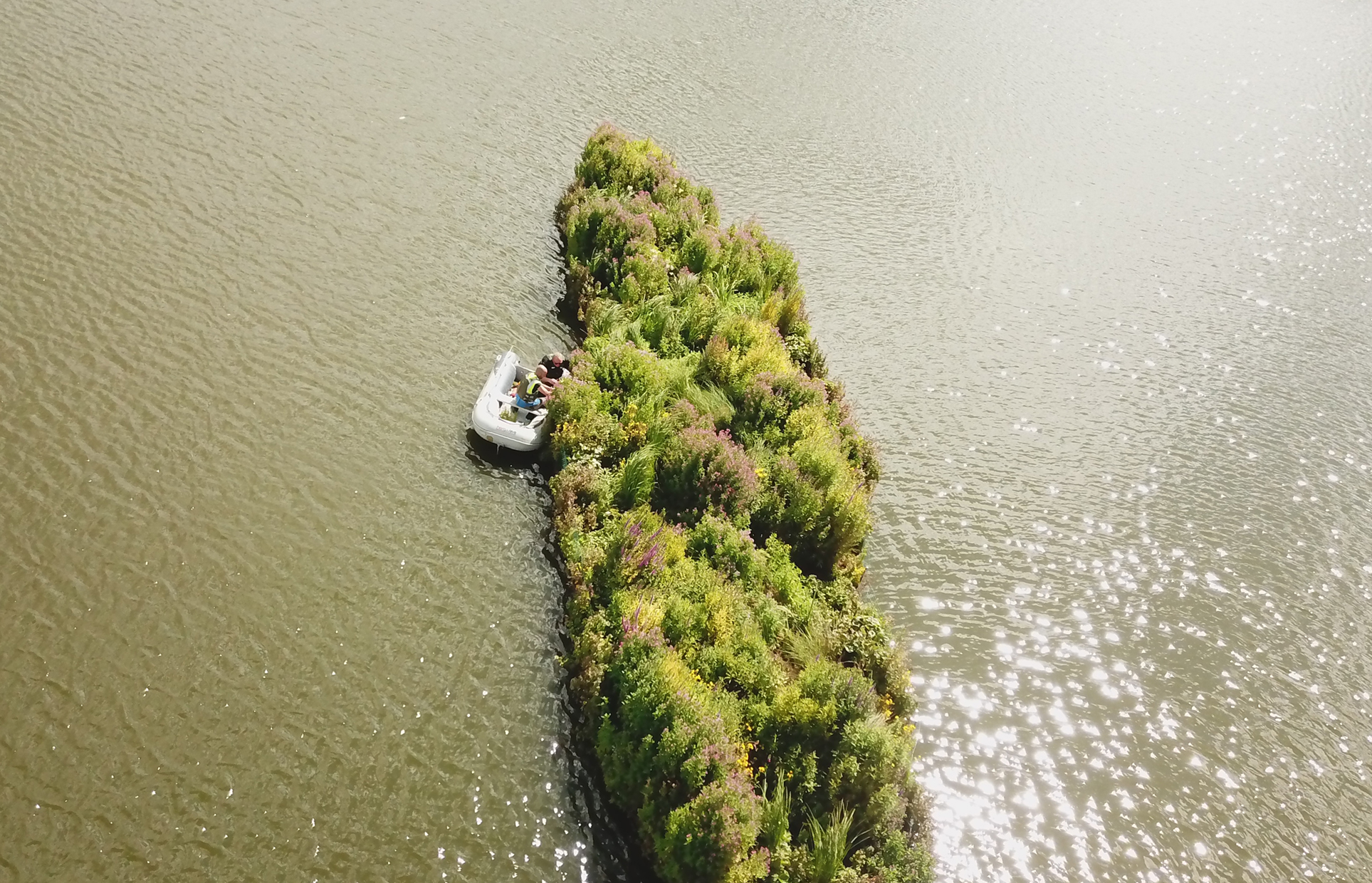Last Spring's Floating Islands Thrive in Killingworth Lake Biomatrix