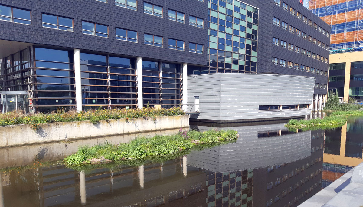 Floating Ecosystems Bring New Life to Amsterdam City Council Offices ...