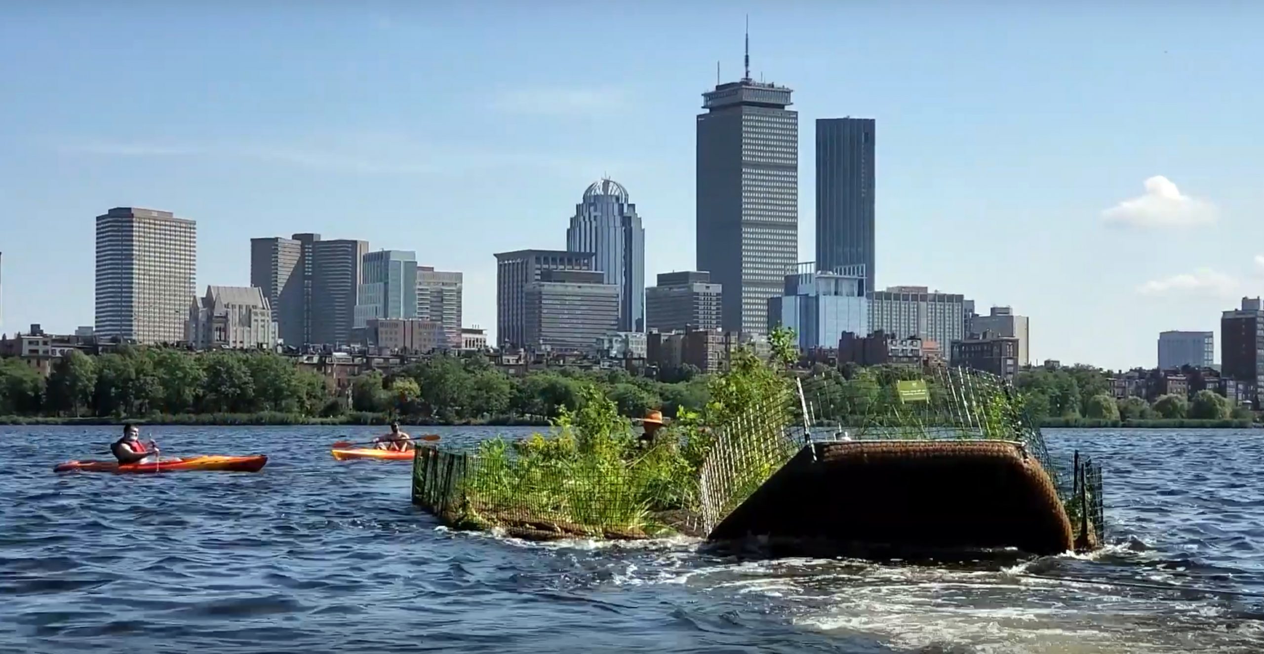 Watch This Inspiring Video of Our Project in Boston with the Charles River  Conservancy - Biomatrix