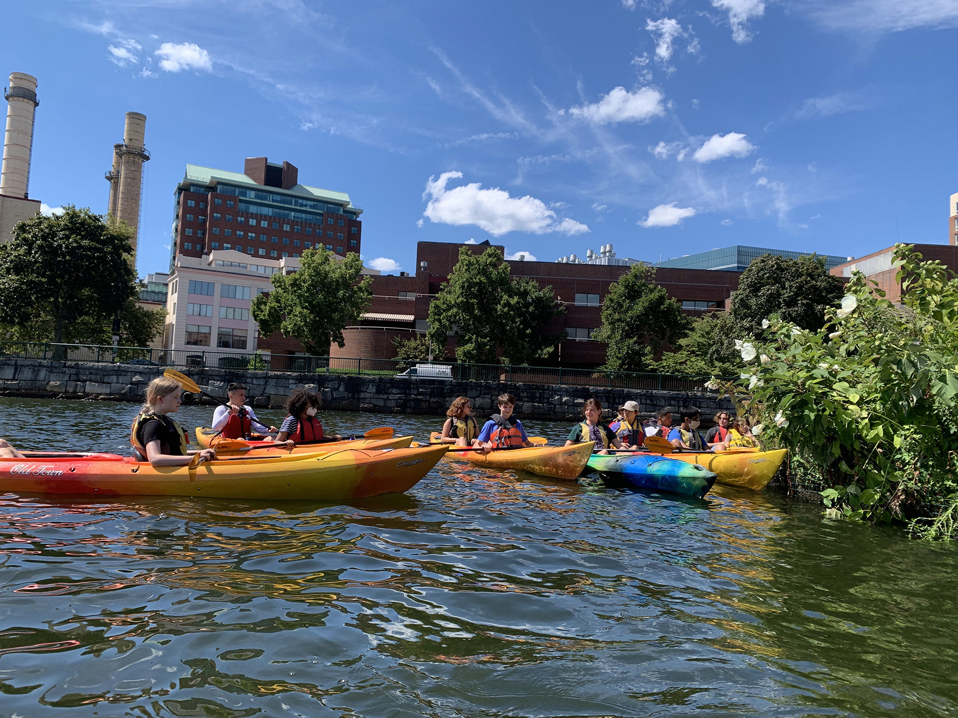 Hundreds of Students Make Mini Floating Ecosystems in Boston Biomatrix