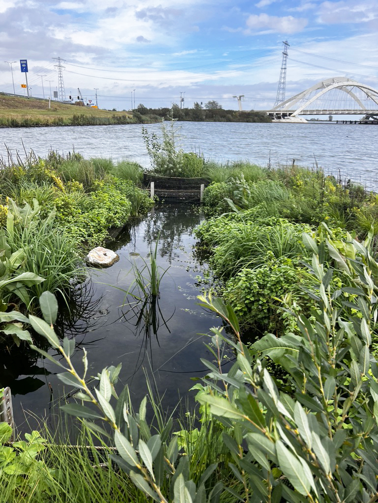 A New Archipelago of 5 Biomatrix Floating Islands Incorporating 6 Module / Habitat Types